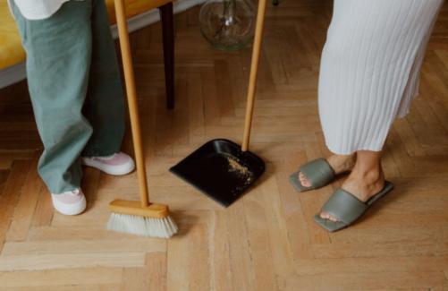 Meilleurs conseils pour maintenir une zone hygiénique pour animaux de compagnie dans votre maison