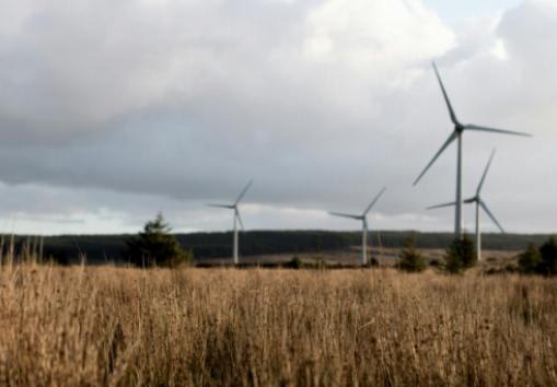 Meubles écologiques : une solution pratique et respectueuse de l'environnement pour votre maison